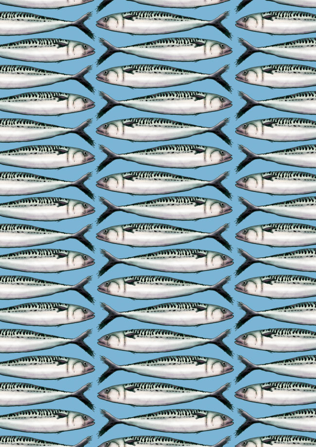 watercolour food illustration pattern mackerel print seafood healthy lifestyle