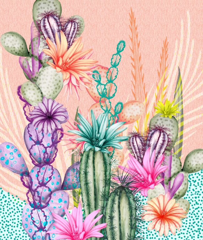 Nature-illustration-botanicals-cactus-desert-tropical
