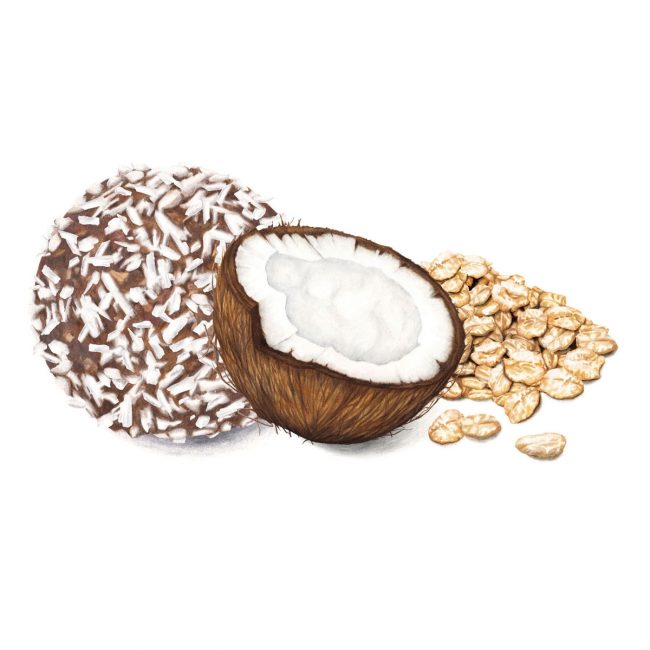 food-illustration-packaging-design-coconut-and-oats-protein-energyball-Deliciously-Ella