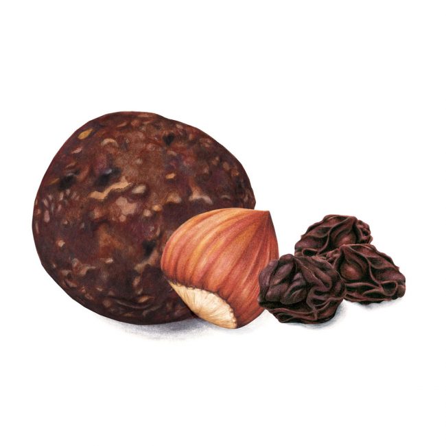 food-illustration-packaging-design-hazelnut-and-raisin-energyball-Deliciously-Ella