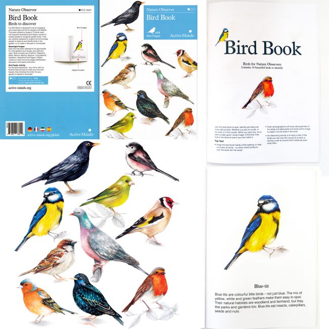 Watercolour bird illustrations for Relish nature observer bird book watercolour illustration for product design mental health care wellness and lifestyle