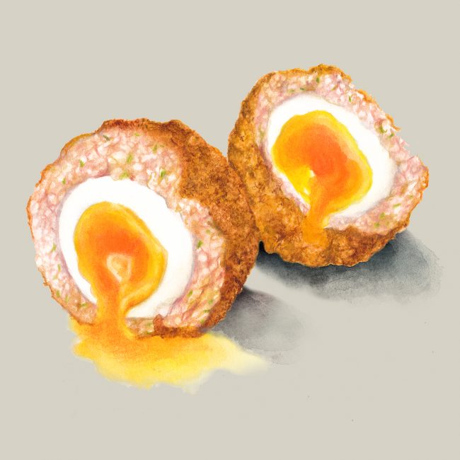 Watercolour food illustration Scotch Egg