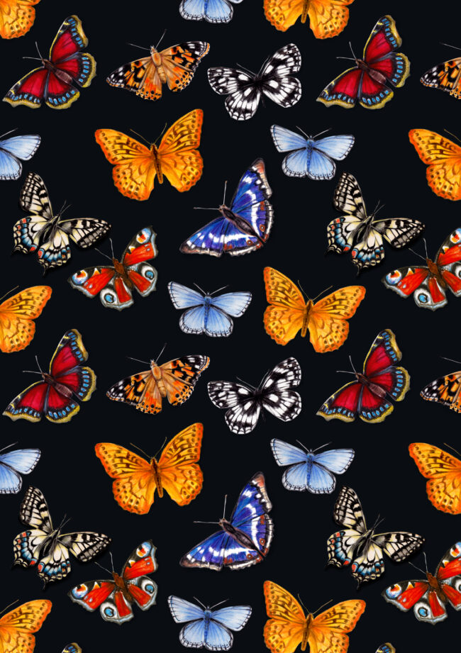 watercolour butterfly pattern wildlife gardens