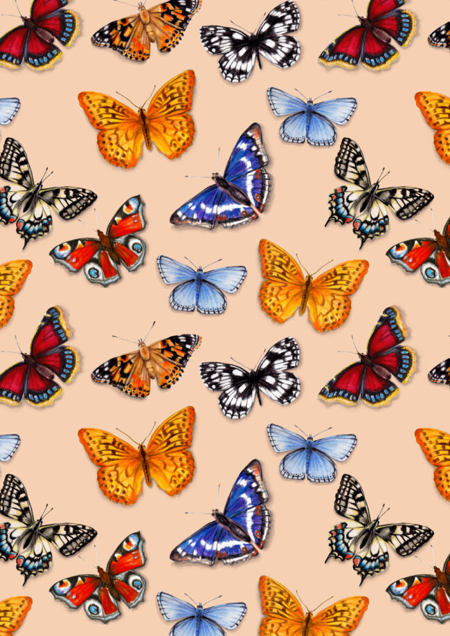 watercolour butterfly pattern wildlife gardens