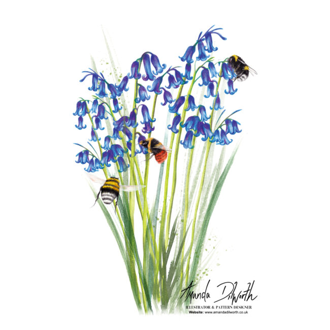 watercolour artwork Bluebells and bees animal nature illustration